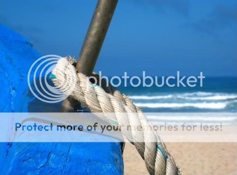 digitalpixel amarras2