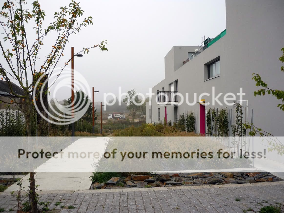 http://i604.photobucket.com/albums/tt125/micou2/P1180069.jpg?t=1253909038