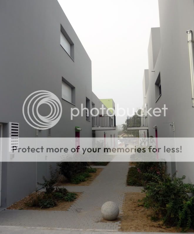 http://i604.photobucket.com/albums/tt125/micou2/P1180098.jpg?t=1253909444
