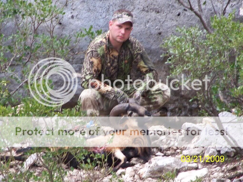 My Monster Has Drawn Blood.. Archery Talk Forum