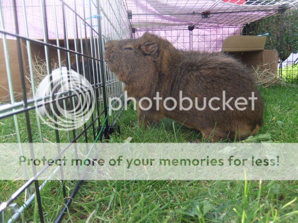 DSCF1074.jpg