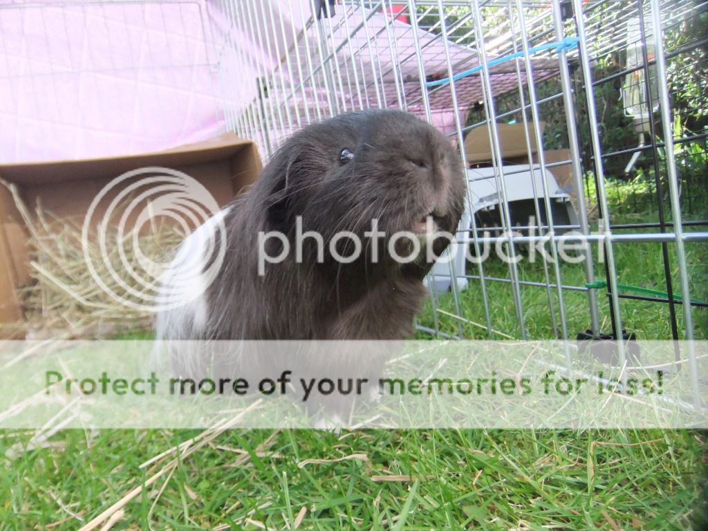 DSCF1093.jpg