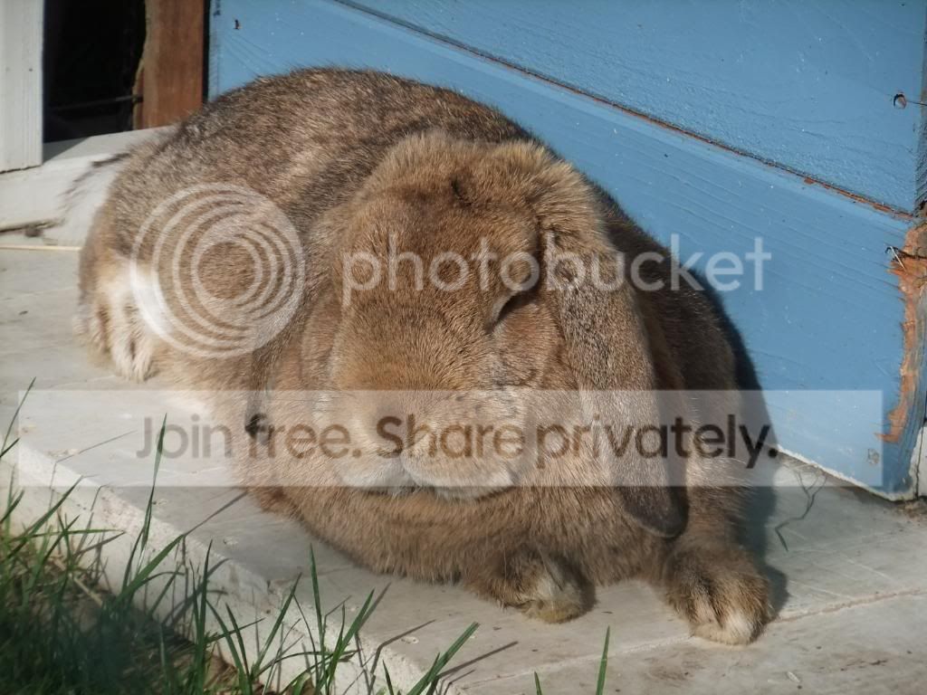 DSCF6294.jpg
