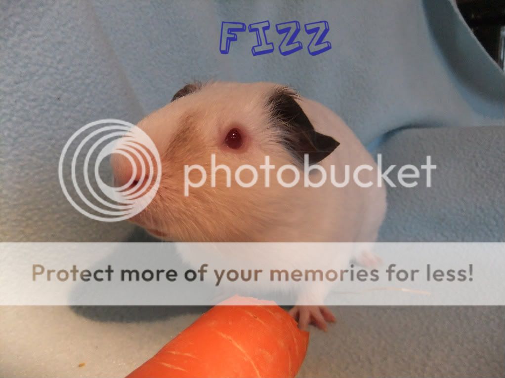 DSCF6633-1.jpg