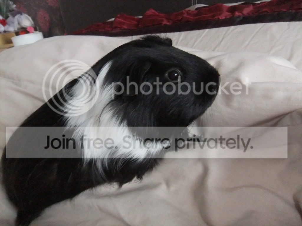 DSCF6922.jpg