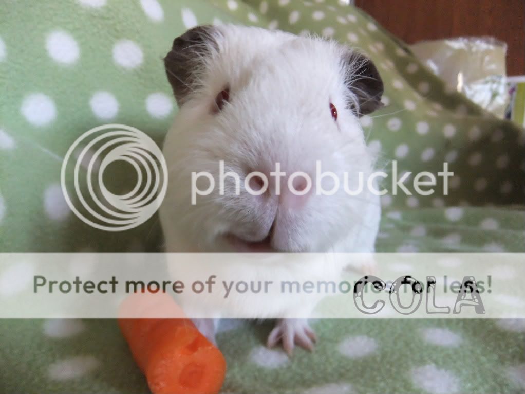DSCF7064-2.jpg