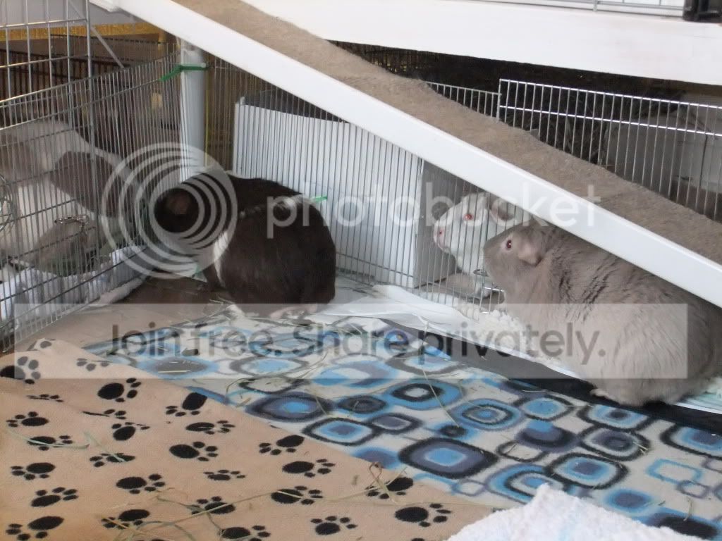 DSCF7148.jpg