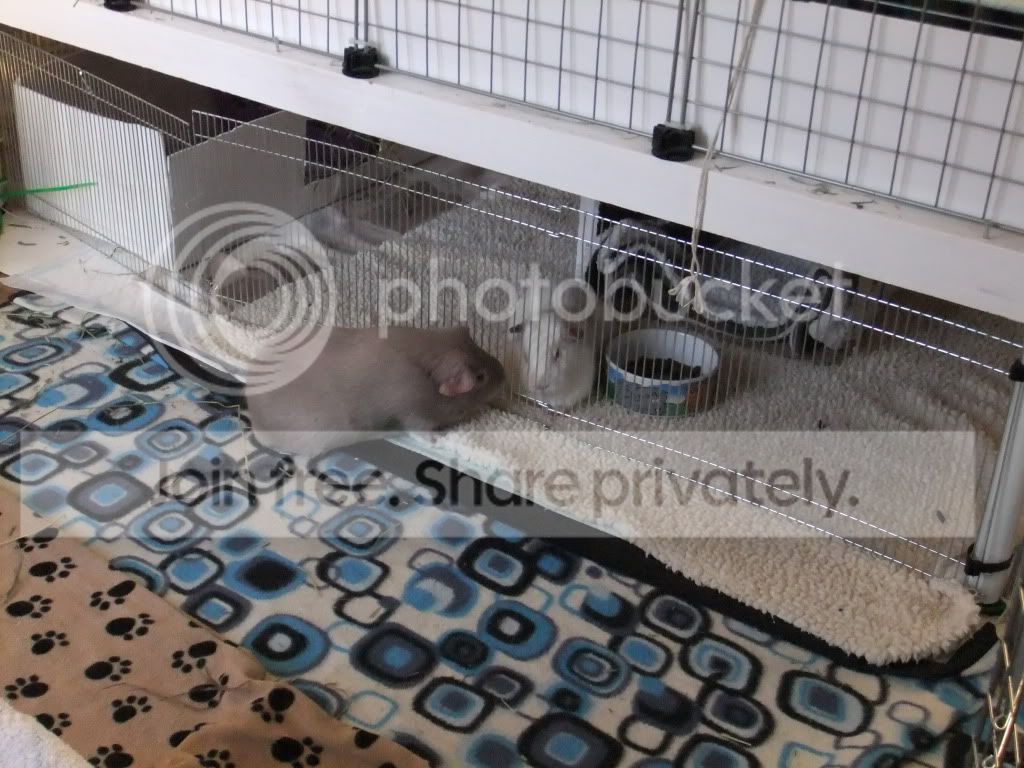 DSCF7152.jpg