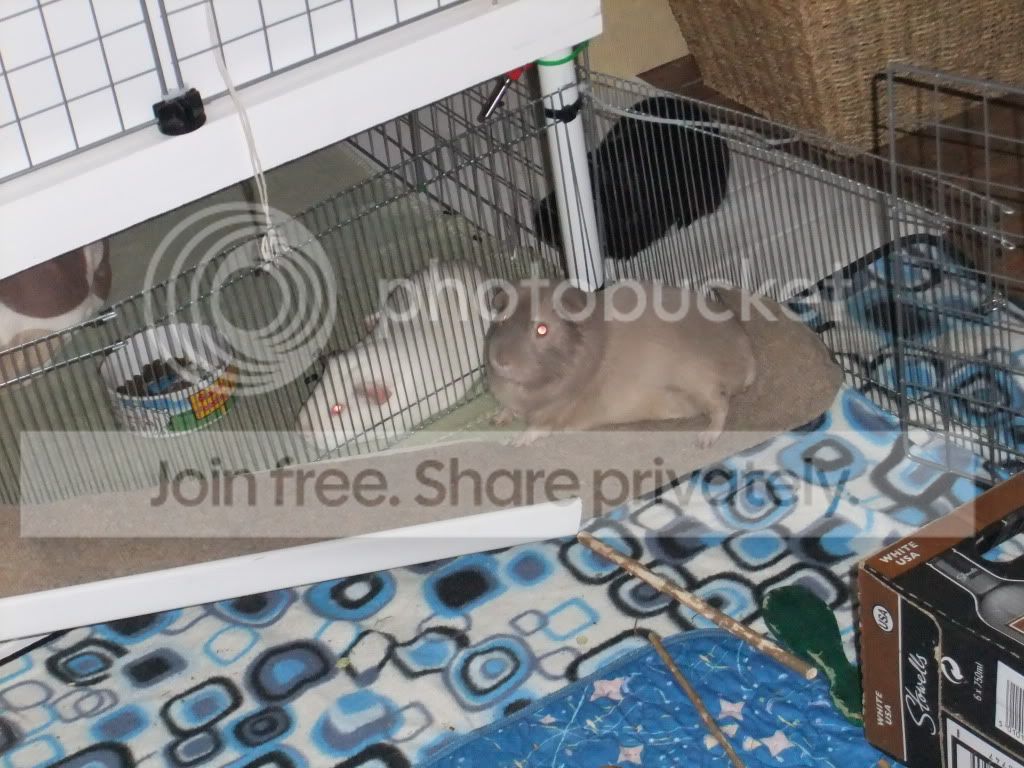 DSCF7180.jpg