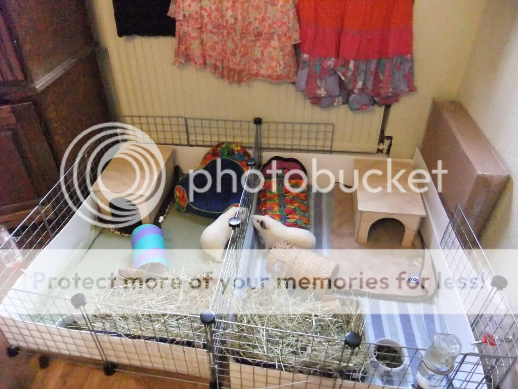 DSCF8289.jpg