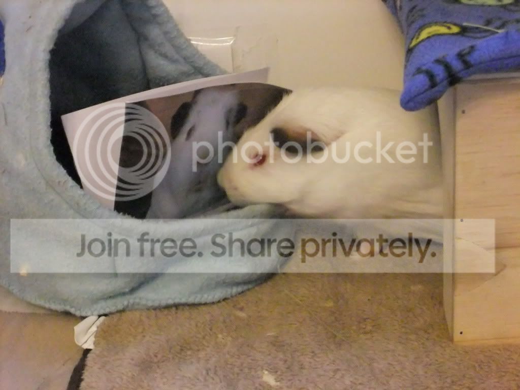 DSCF8491.jpg