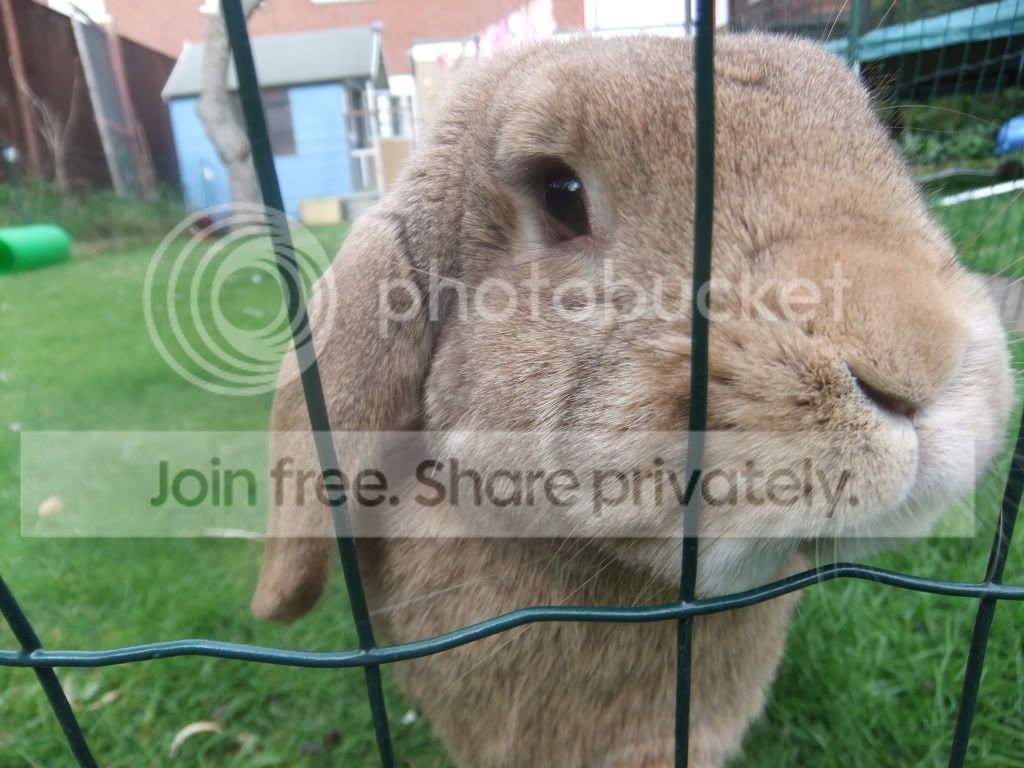 DSCF8589.jpg