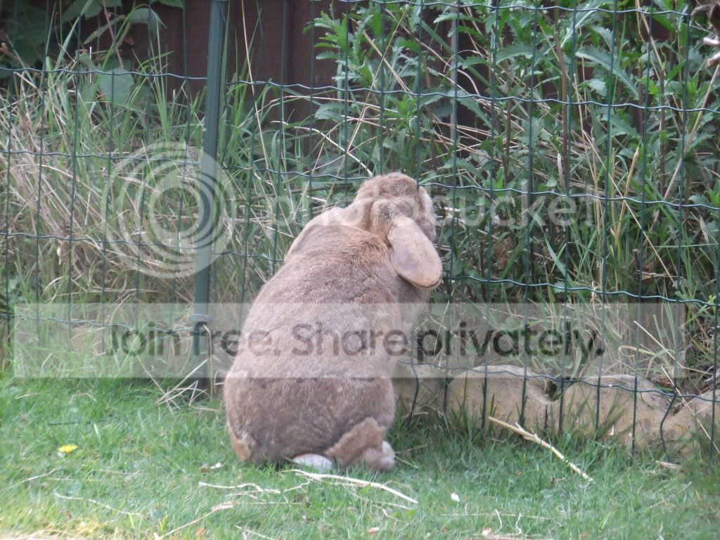 DSCF8723.jpg