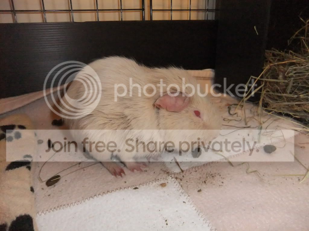 DSCF9267.jpg