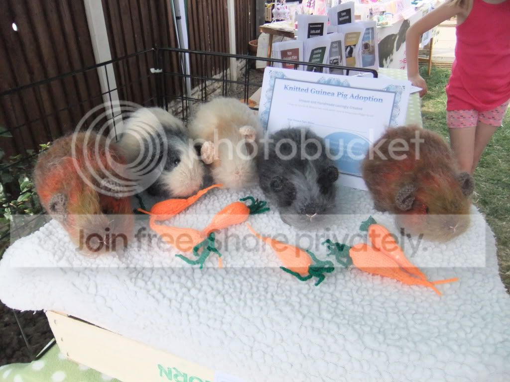 DSCF9414.jpg