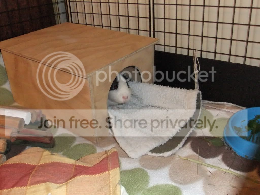 DSCF9437.jpg