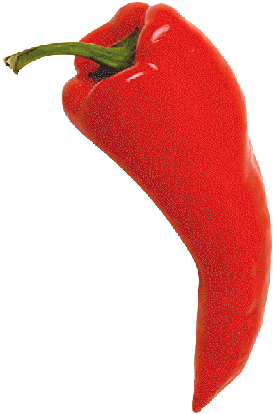 red_chili_pepper_.gif