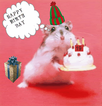 birthday-1.gif